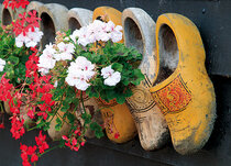 Ansichtkaarten van klompen Ansichtkaarten van klompen