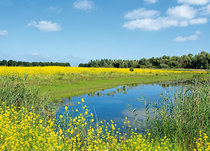 Ansichtkaarten van landschappen Ansichtkaarten van landschappen