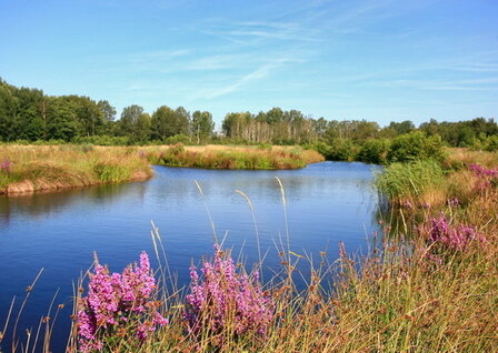 Workshop / cursus Fotografie Friesland