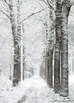Winterkaarten
