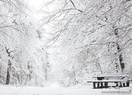 Winter kaarten