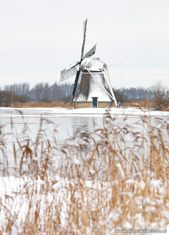 Winter kaarten