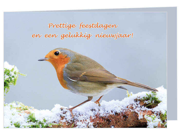 Goedkope kerstkaarten - 5 gevouwen kaarten met enveloppe (set nr. 96)