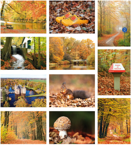 Herfst ansichtkaarten - set met 11 herfstkaarten (nr. 108)