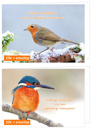 luxe kerstkaarten vogels - roodborst en ijsvogel - gevouwen kaarten met envelop (set nr. 113)