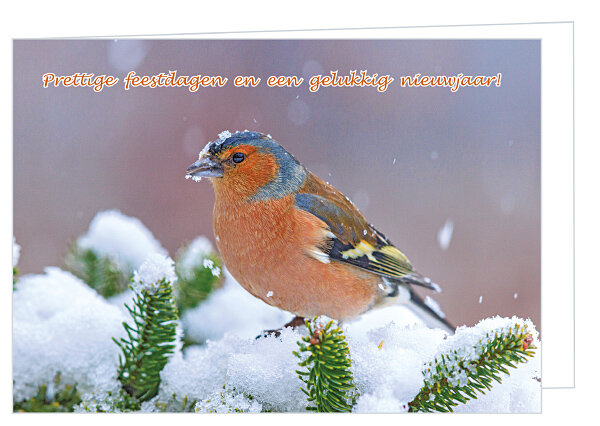 Luxe kerstkaart vogels - vink - dubbele kaart met envelop (K017)