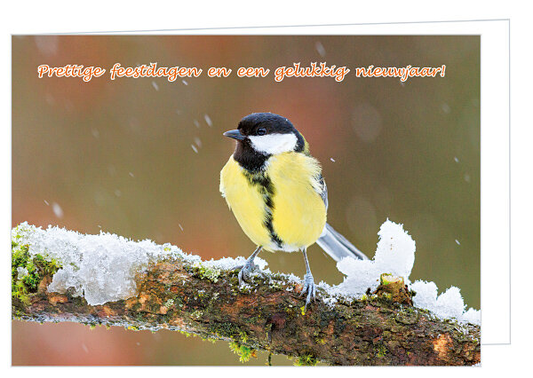 Luxe kerstkaart vogels - koolmees - dubbele kaart met envelop (K018)