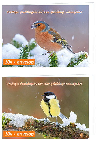 luxe kerstkaarten vogels - vink en koolmees - gevouwen kaarten met envelop (set nr. 115)