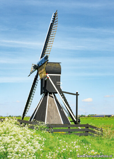 ansichtkaart Mellemolen in Akkrum (0831)