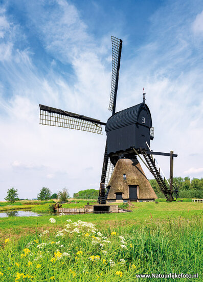 ansichtkaart Noordeveldse molen in Dussen (0834)