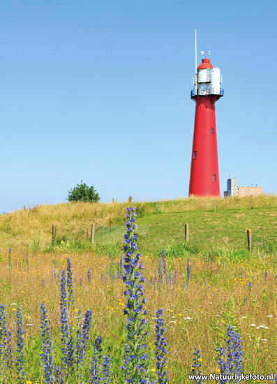 ansichtkaart Hoek van Holland - vuurtoren (0847)