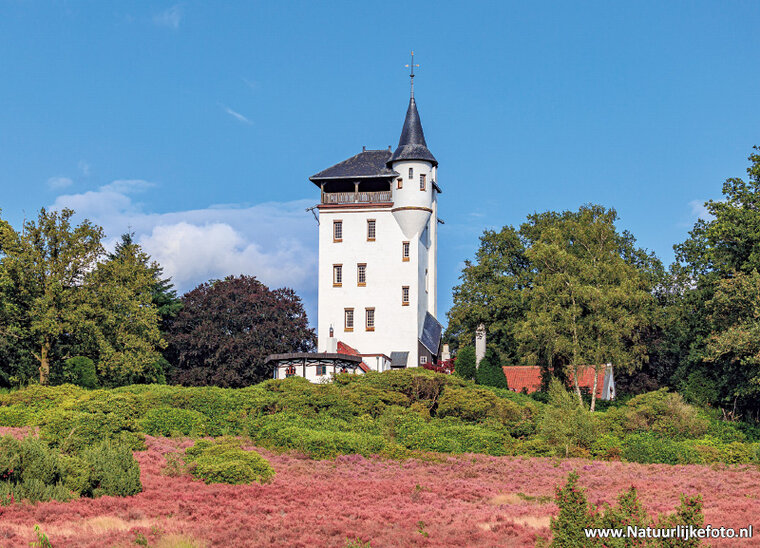 ansichtkaart Palthetoren in Haarle (0883)