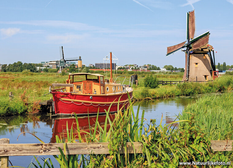 ansichtkaart Doeshofmolen in Leiderdorp (0886)