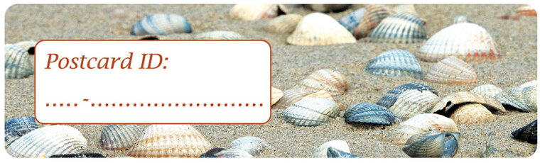 Postcrossing postcard ID stickers - 6x schelpen