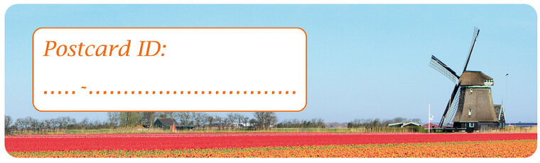 Postcrossing postcard ID stickers - 6x molen met tulpen