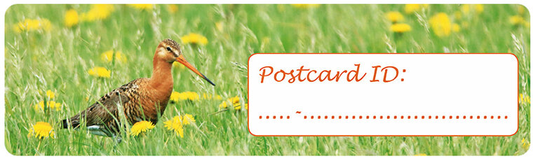 Postcard ID stickers - 6x Grutto