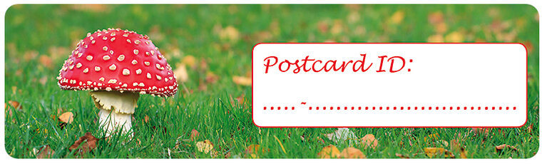 Postcrossing postcard ID stickers - 6x paddestoel