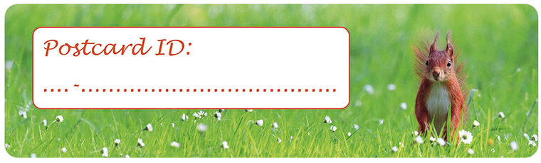 Postcard ID stickers - 6x Eekhoorn