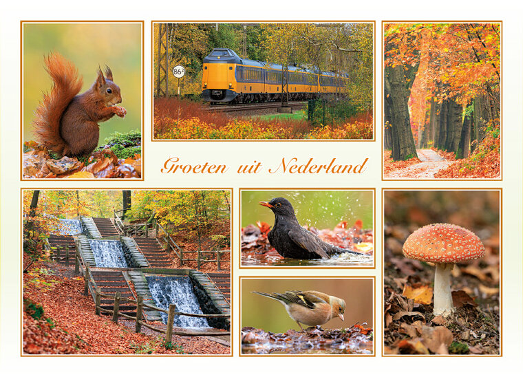 ansichtkaart groeten uit Nederland herfst - Postcrossing kaarten top 100 (AH0027)