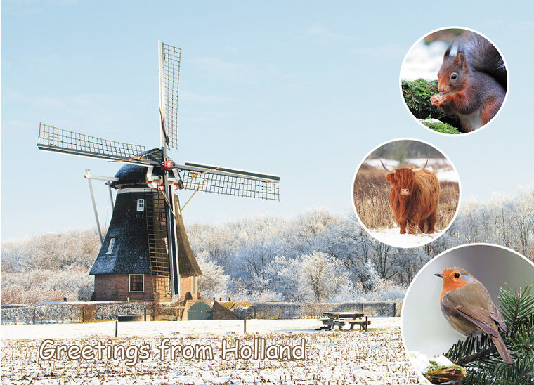 ansichtkaart greetings from Holland 007