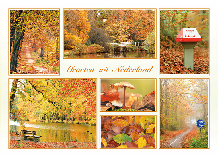 ansichtkaart groeten uit Nederland herfst (AH0017)