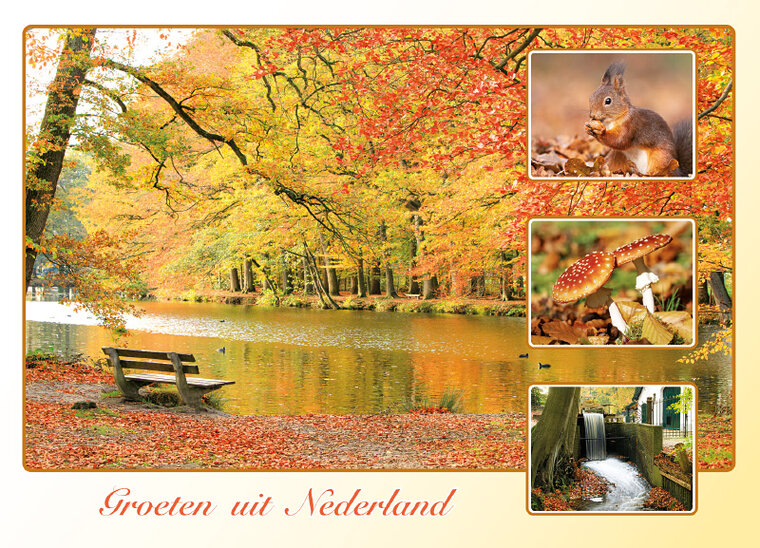 ansichtkaart groeten uit Nederland - Postcrossing kaarten top 100 (AH0020)