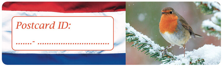 Postcard ID stickers - 6x Nederlandse vlag en roodborstje