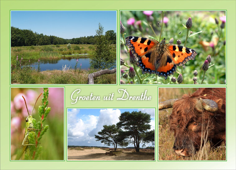 ansichtkaart groeten uit Drenthe (DR003)
