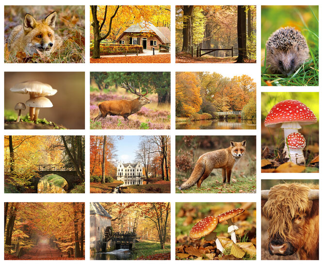 ansichtkaarten herfst - set met 15 herfst kaarten (nr. 20)
