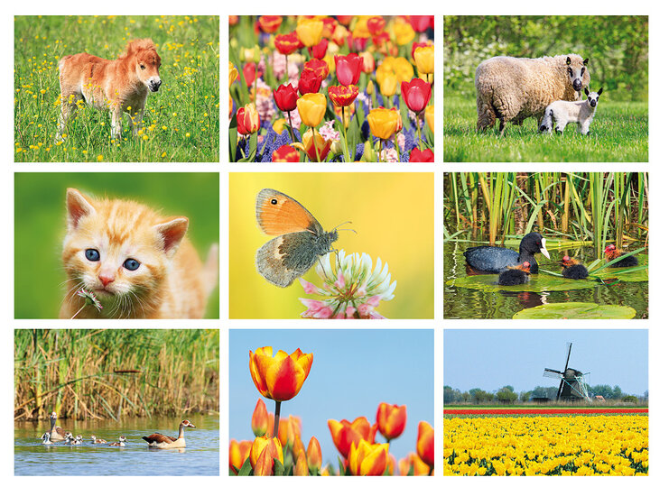 Lente kaarten - set met 9 lente ansichtkaarten (nr.103)