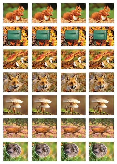 Beloningsstickers herfst - 28 stickers op een vel (SV003)