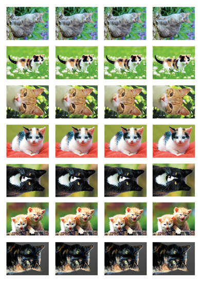 Beloningsstickers katten - 28 stickers op een vel (SV008)