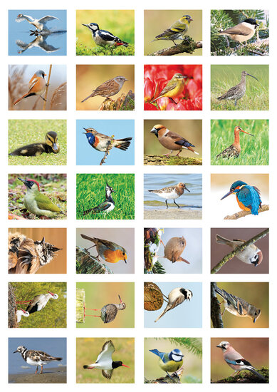 Beloningsstickers vogels - 28 stickers op een vel (SV009)