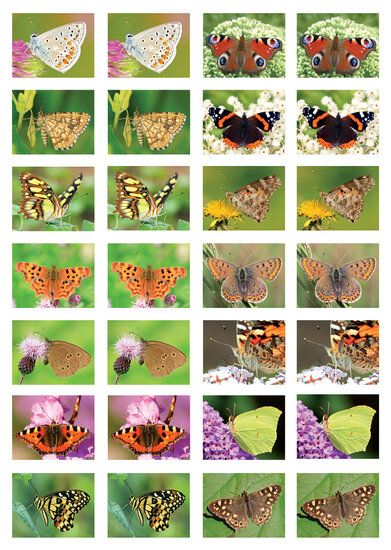 Beloningsstickers vlinders - 28 stickers op een vel (SV010)