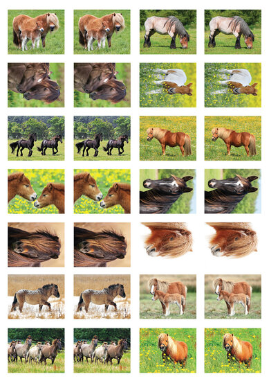 Beloningsstickers school - paarden - 28 stickers op een vel (SV015)