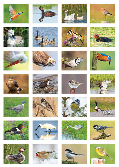 Beloningsstickers school - vogels - 28 stickers op een vel (SV018)
