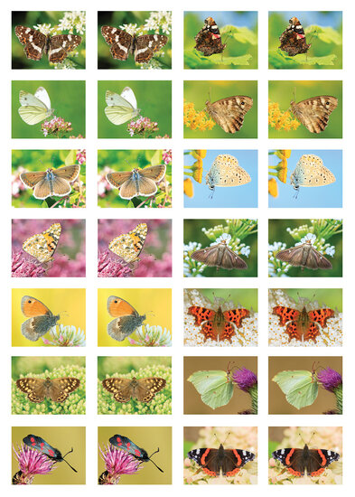 Beloningsstickers school - vlinders - 28 stickers op een vel (SV024)