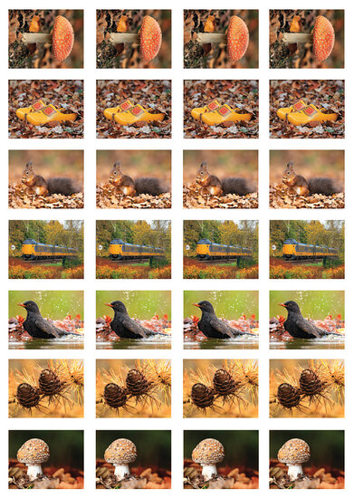 Beloningsstickers herfst - 28 stickers op een vel (SV026)