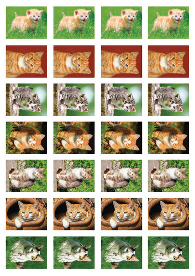 Beloningsstickers katten - 28 stickers op een vel (SV029)