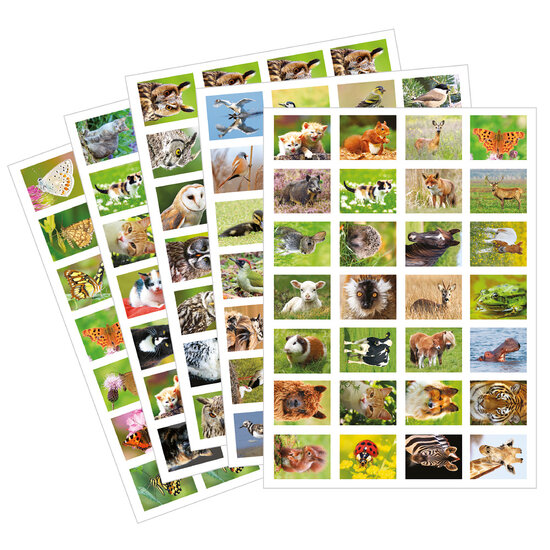 Beloningsstickers school - mix van 5 stickervellen (SVS01)