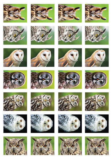Beloningsstickers school - mix van 5 stickervellen (SVS01)