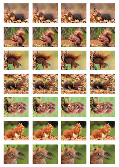 Beloningsstickers eekhoorns - 28 stickers op een vel (SV033)