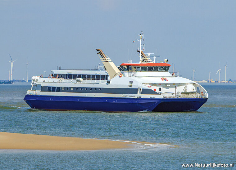 ansichtkaart veerboot Prinses Maxima (0736)