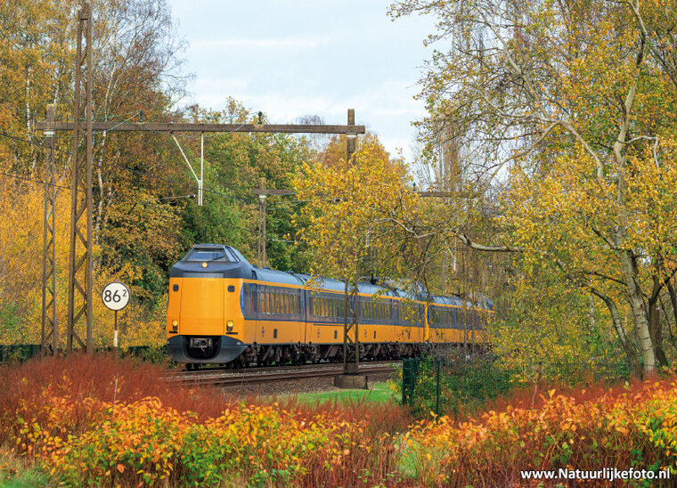 ansichtkaart NS trein in de herfst (0741)