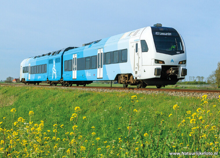 ansichtkaart Arriva trein met bloemen (0777)
