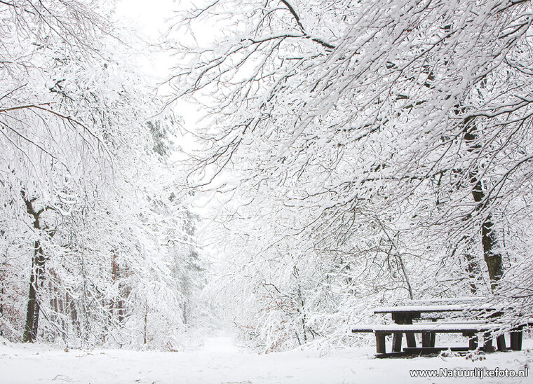 ansichtkaart picknicktafel in de sneeuw (0619)