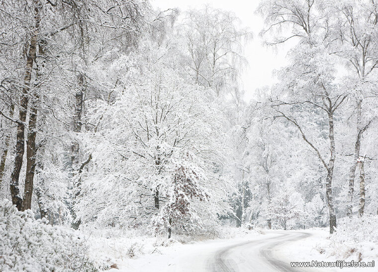 ansichtkaart weggetje in de winter (0621)