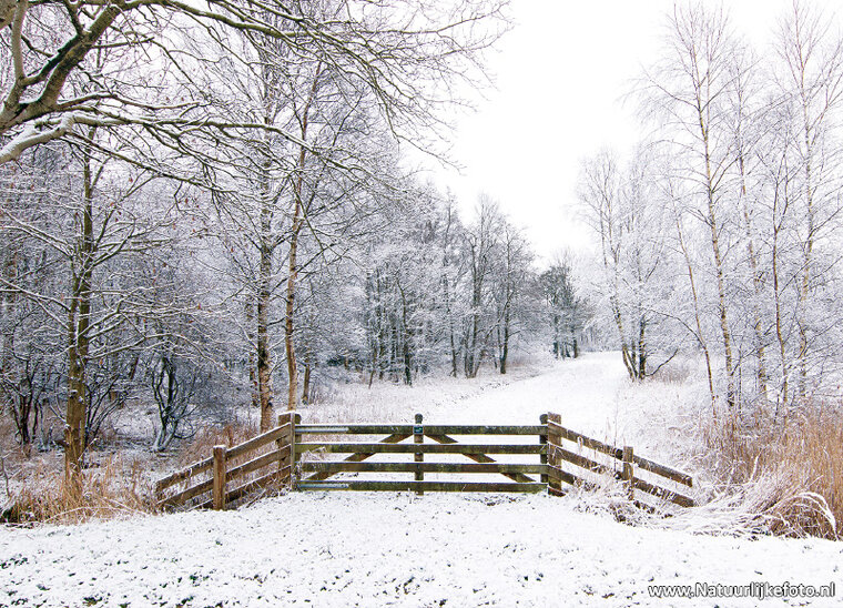 ansichtkaart winterlandschap in de Alde Feanen (0623)