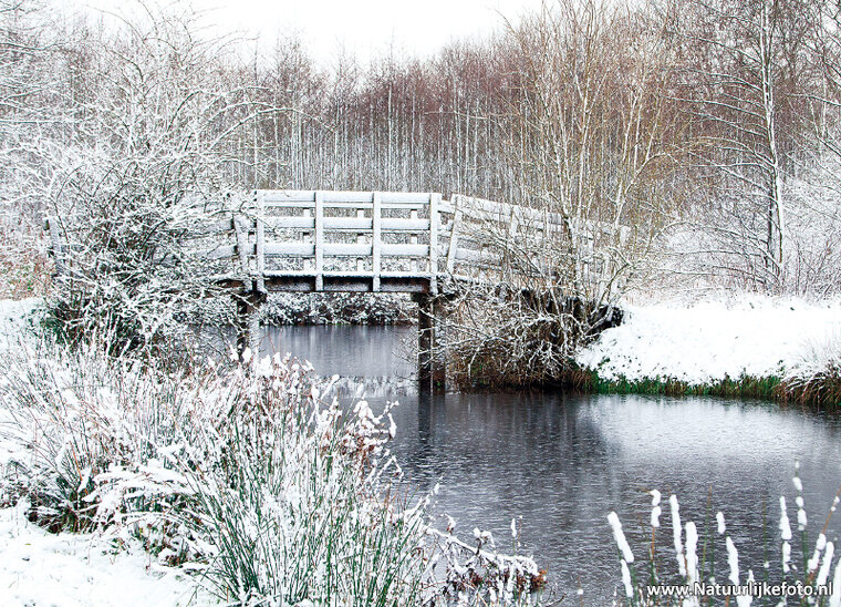 ansichtkaart bruggetje in winters landschap (0502)