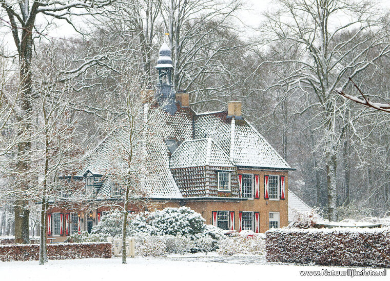ansichtkaart de Slotplaats in Bakkeveen (0503)